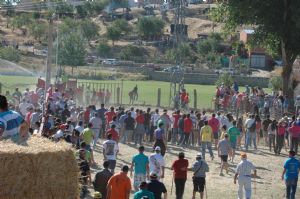 ENCIERROS SAN ROQUE 2014