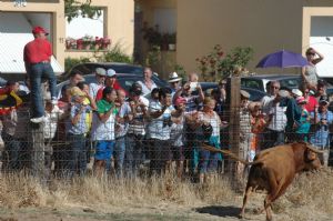 ENCIERROS SAN ROQUE 2014