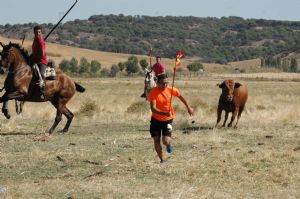 ENCIERROS SAN ROQUE 2014