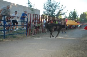 ENCIERROS SAN ROQUE 2014