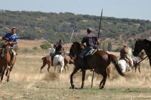 ENCIERROS SAN ROQUE 2014