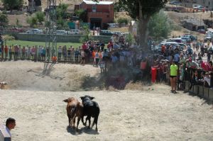 ENCIERROS SAN ROQUE 2014