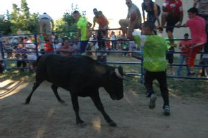 ENCIERROS SAN ROQUE 2014