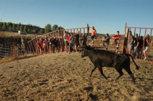 ENCIERROS SAN ROQUE 2014