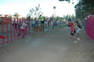 ENCIERROS SAN ROQUE 2014