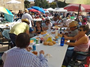  XV FIESTA DE LA VENDIMIA. VENIALBO 2017