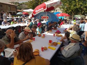  XV FIESTA DE LA VENDIMIA. VENIALBO 2017