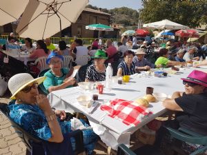  XV FIESTA DE LA VENDIMIA. VENIALBO 2017