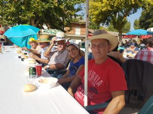  XV FIESTA DE LA VENDIMIA. VENIALBO 2017