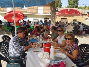  XV FIESTA DE LA VENDIMIA. VENIALBO 2017