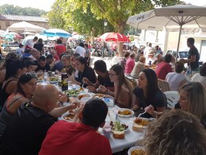  XV FIESTA DE LA VENDIMIA. VENIALBO 2017