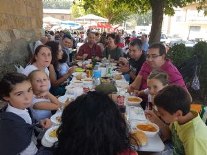  XV FIESTA DE LA VENDIMIA. VENIALBO 2017