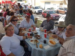  XV FIESTA DE LA VENDIMIA. VENIALBO 2017