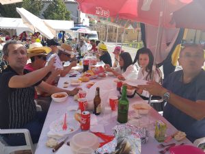  XV FIESTA DE LA VENDIMIA. VENIALBO 2017