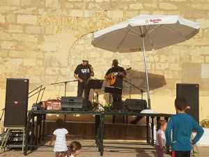  XV FIESTA DE LA VENDIMIA. VENIALBO 2017