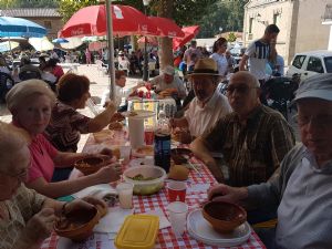  XV FIESTA DE LA VENDIMIA. VENIALBO 2017