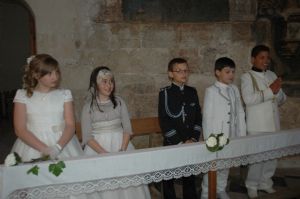 Comuniones. Venialbo 2013. 