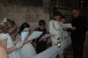 Comuniones. Venialbo 2013. 