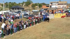 ENCIERROS SAN ROQUE 2015