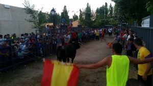 ENCIERROS SAN ROQUE 2015