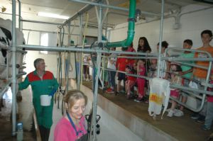 VISITA DE LA ESCUELA A UNA GRANJA DE VENIALBO 