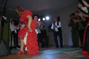 Venialbo y la Provincia se vuelca en el Festival Flamenco con Salva