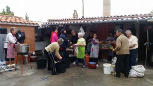 XIII FIESTA DE LA VENDIMIA. VENIALBO 2015