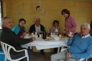 XIII FIESTA DE LA VENDIMIA. VENIALBO 2015