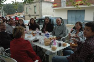 XIII FIESTA DE LA VENDIMIA. VENIALBO 2015