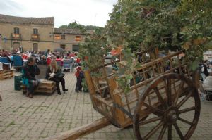 XIII FIESTA DE LA VENDIMIA. VENIALBO 2015