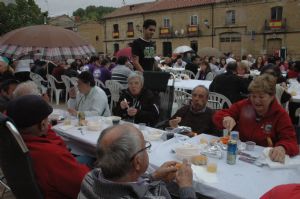 XIII FIESTA DE LA VENDIMIA. VENIALBO 2015