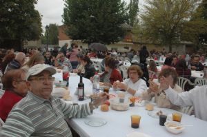 XIII FIESTA DE LA VENDIMIA. VENIALBO 2015