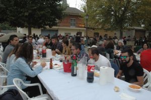 XIII FIESTA DE LA VENDIMIA. VENIALBO 2015