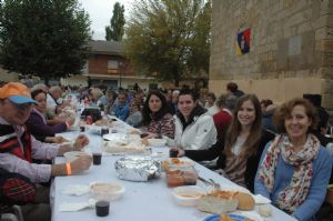 XIII FIESTA DE LA VENDIMIA. VENIALBO 2015