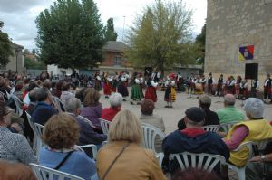 XIII FIESTA DE LA VENDIMIA. VENIALBO 2015