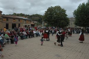 XIII FIESTA DE LA VENDIMIA. VENIALBO 2015