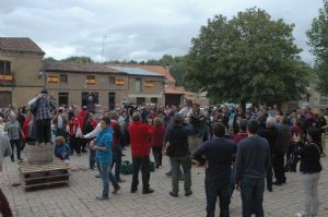 XIII FIESTA DE LA VENDIMIA. VENIALBO 2015