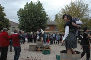 XIII FIESTA DE LA VENDIMIA. VENIALBO 2015