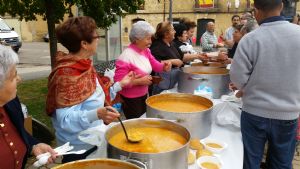 XIII FIESTA DE LA VENDIMIA. VENIALBO 2015