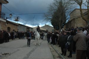 FIESTA DE QUINTOS 2016